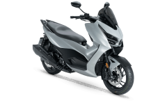 RKS RZ 250S