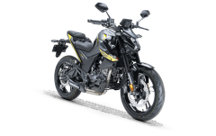 RKS RZ 125