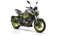RKS SRK 250