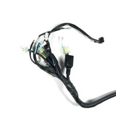 Daytona 250 V Ana Tesisat