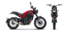 BENELLI LEONCINO 500