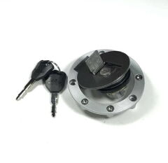 Daytona 250 V Depo Kapağı