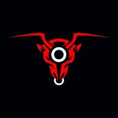 Xsuv 250 Hava Filtresi