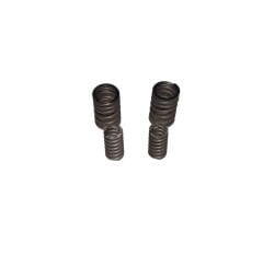 Pılder 250 Subop Emme Egzoz Yay Set