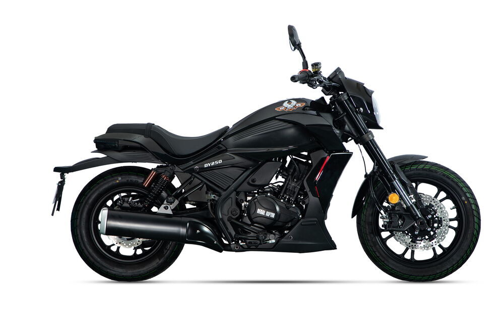 DY 250 Sele Alt Dekor Kapak Sağ