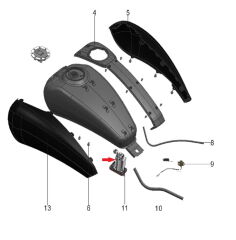Pılder 250 Benzin Pompa Motoru (TEK)