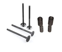 Pılder 125 Subop Emme Egzoz Yay Set