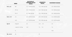 AKRAPOVIC S-Y3SO1-HRSS/1 YAMAHA X-MAX 250 - 300 (17-24) SLIP-ON LINE (SS) EGZOZ