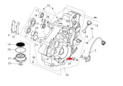 Promax 650L Şaft, Çift Dişli, Yağ Pompası