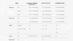 AKRAPOVIC L-K6SO8/2 KAWASAKI NINJA ZX-6R (23-24) (SS) BAĞLANTI BORUSU