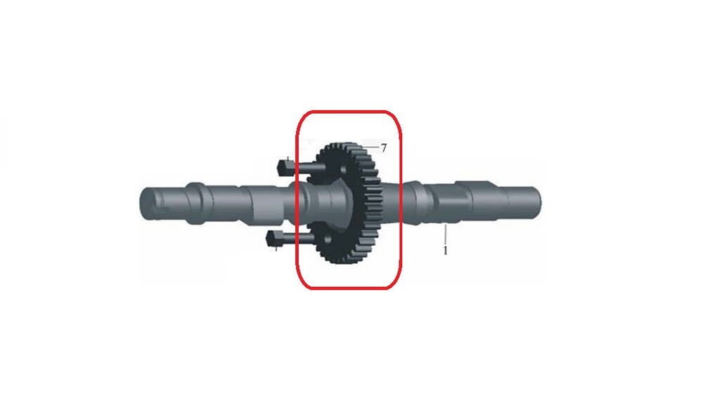 Daytona 250 Eksantrik Mil Dişlisi