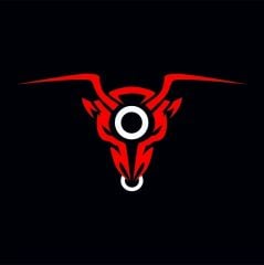 EGZOZ ÜST PLASTİĞİ