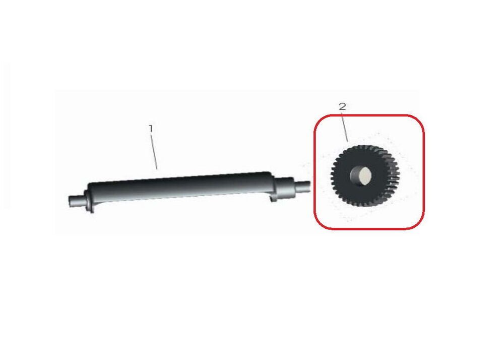 Daytona 250 Balansör Dişlisi