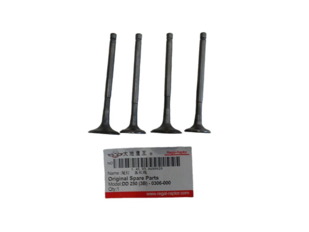 DD-250E-9 Subop Emme Egzoz