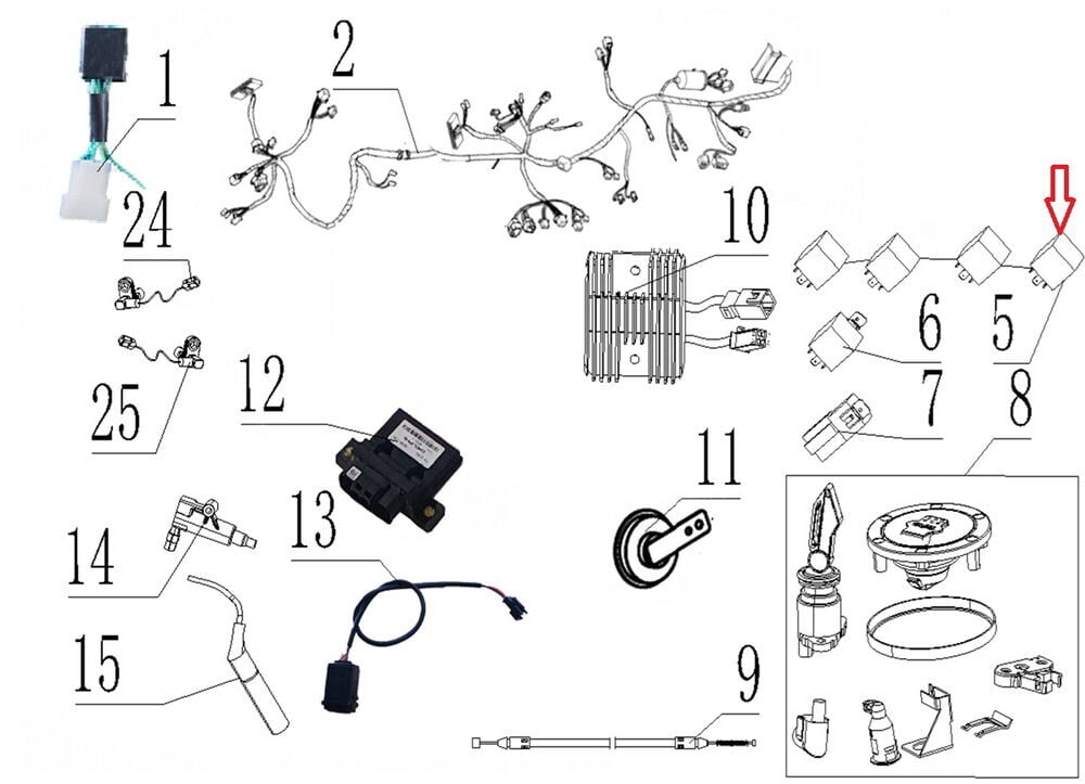 SPN 125 Beyin Rolesi