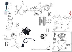 SPN 125 Beyin Rolesi