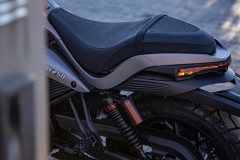 Regal Raptor  DY250