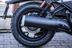 Regal Raptor  DY250