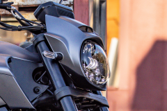Regal Raptor  DY250