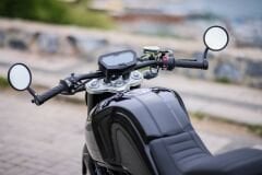 Regal Raptor Shark 250