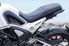Regal Raptor Shark 250