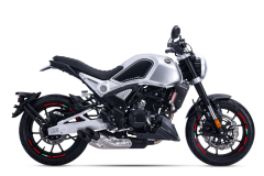 Regal Raptor Shark 250