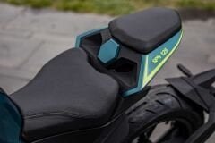 Regal Raptor SPN125