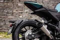 Regal Raptor SPN125