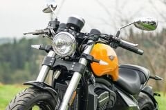 Regal Raptor Pilder 250