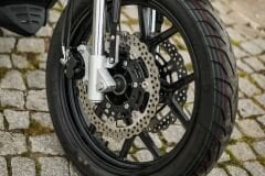 Regal Raptor Pilder 250