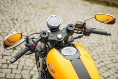 Regal Raptor Pilder 250